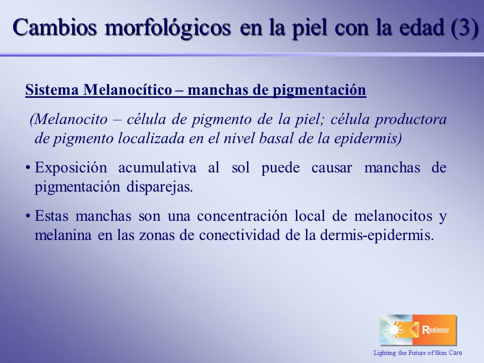 Cambios morfológicos en la piel con la edad (3)