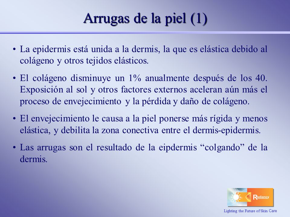 Arrugas de la piel (1) La epidermis está unida a la dermis, la que es elástica debido al colágeno y otros tejidos elásticos.