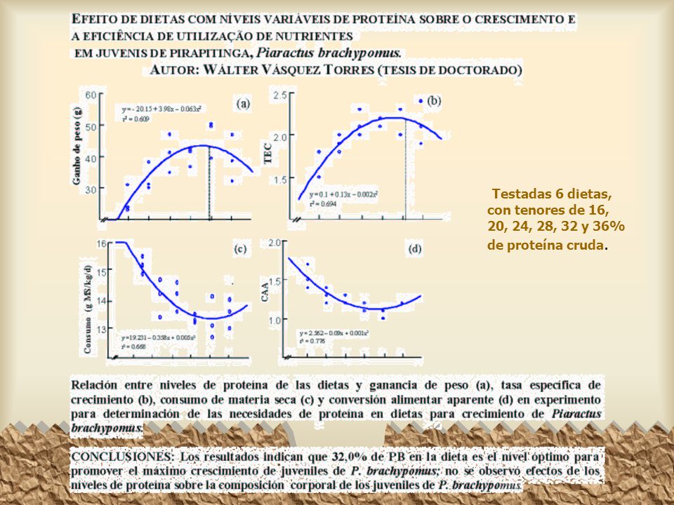 Testadas 6 dietas, con tenores de 16, 20, 24, 28, 32 y 36% de proteína cruda.