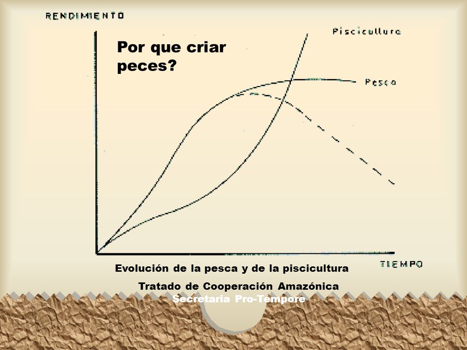 Por que criar peces Evolución de la pesca y de la piscicultura