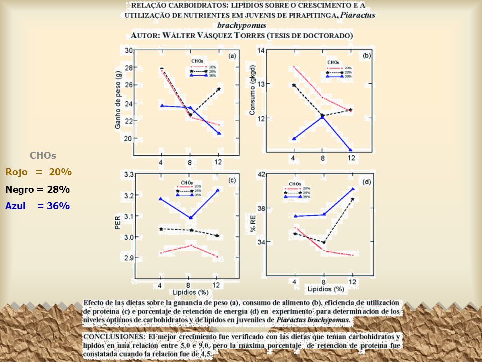 CHOs Rojo = 20% Negro = 28% Azul = 36%