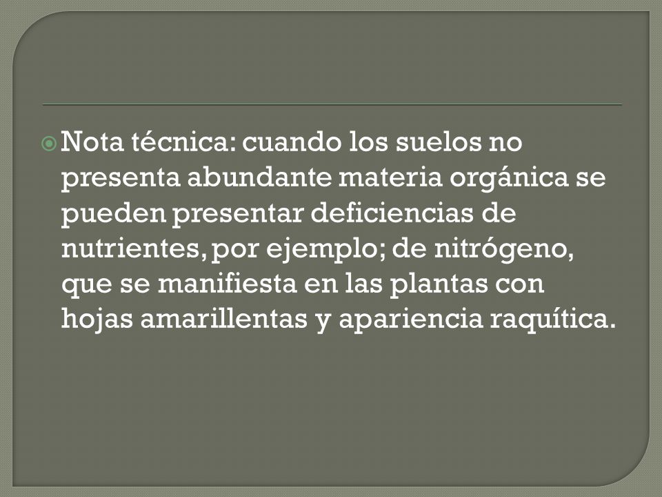 Nota técnica: cuando los suelos no presenta abundante materia orgánica se pueden presentar deficiencias de nutrientes, por ejemplo; de nitrógeno, que se manifiesta en las plantas con hojas amarillentas y apariencia raquítica.