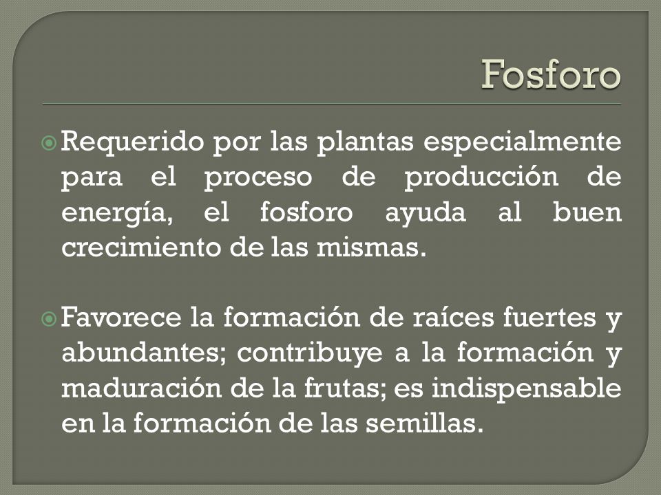 Fosforo Requerido por las plantas especialmente para el proceso de producción de energía, el fosforo ayuda al buen crecimiento de las mismas.