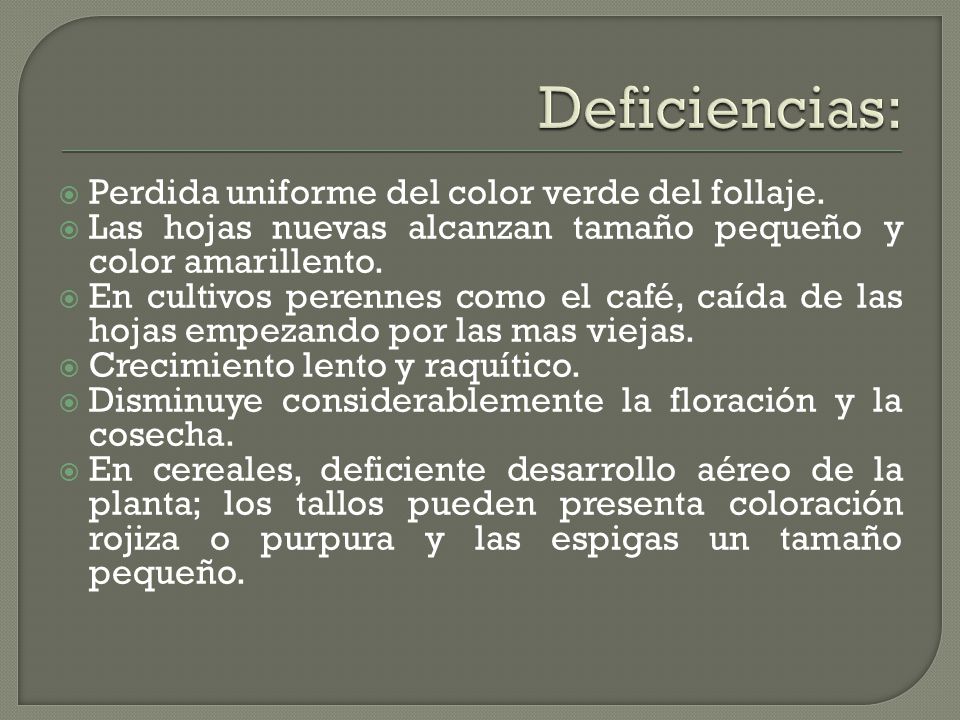 Deficiencias: Perdida uniforme del color verde del follaje.