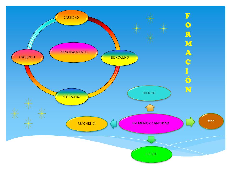 F O R M A C I Ó N oxigeno EN MENOR CANTIDAD HIERRO zinc COBRE MAGNESIO