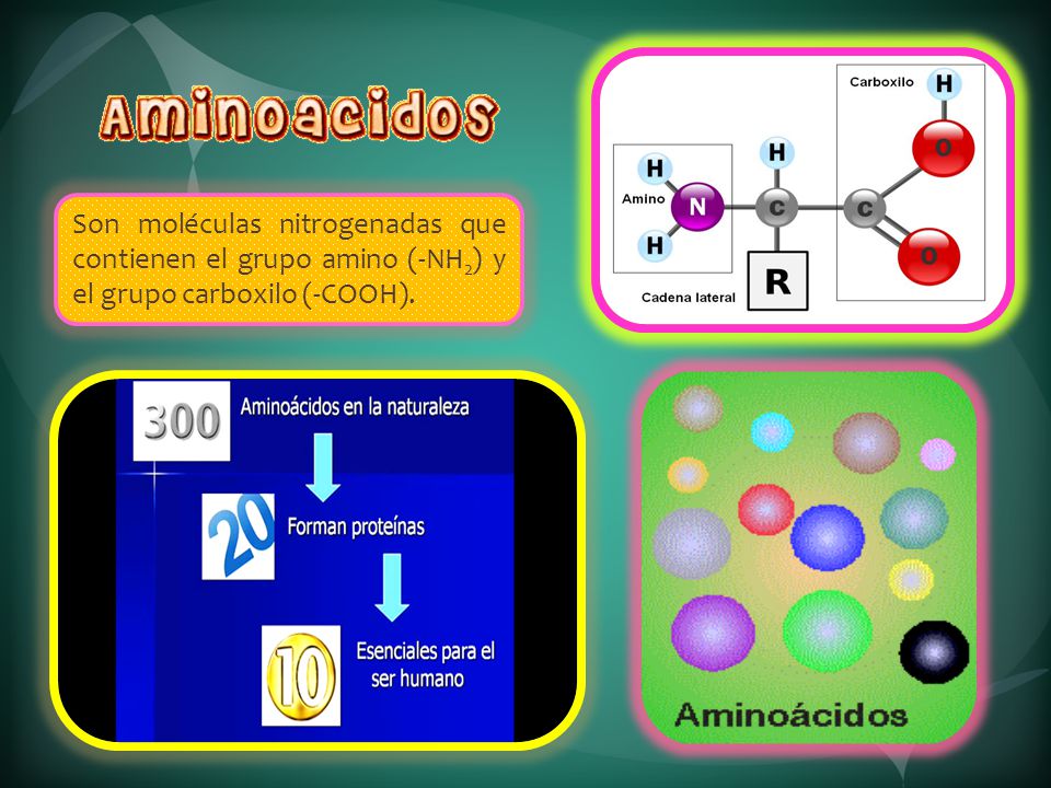 Son moléculas nitrogenadas que contienen el grupo amino (-NH2) y el grupo carboxilo (-COOH).