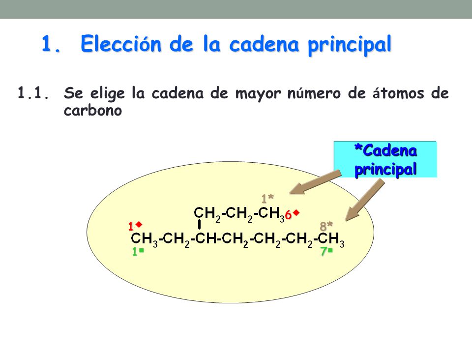 1. Elección de la cadena principal