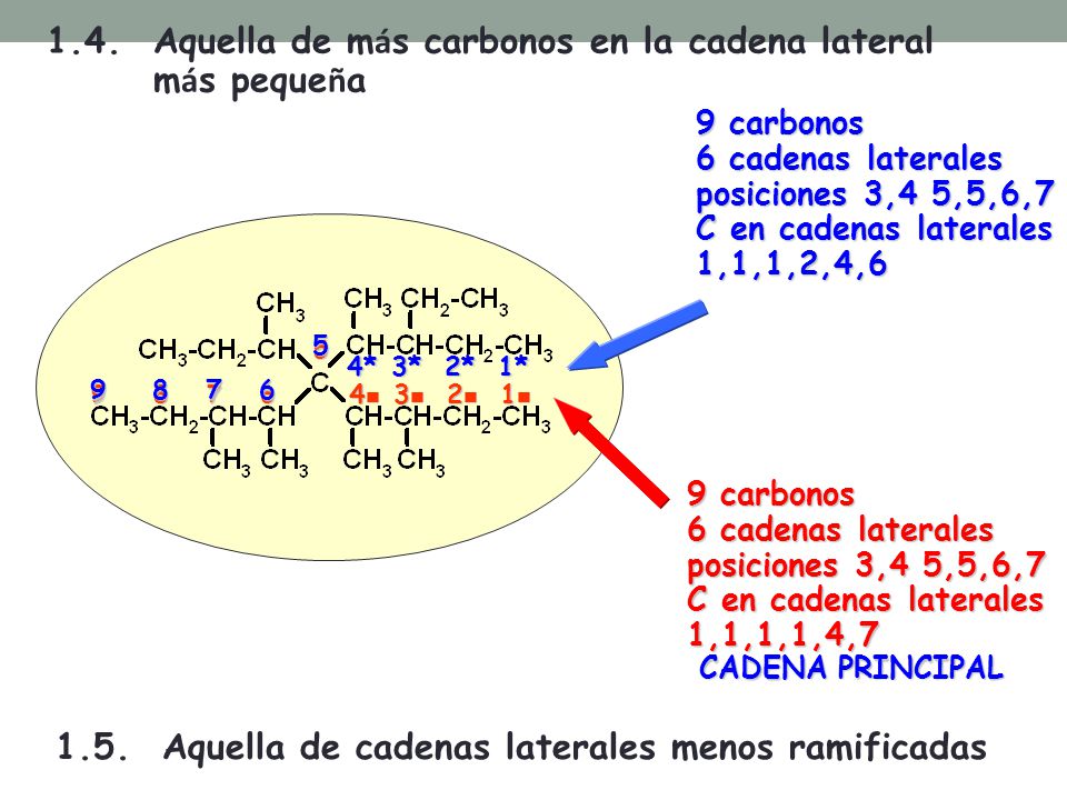 1.4. Aquella de más carbonos en la cadena lateral más pequeña
