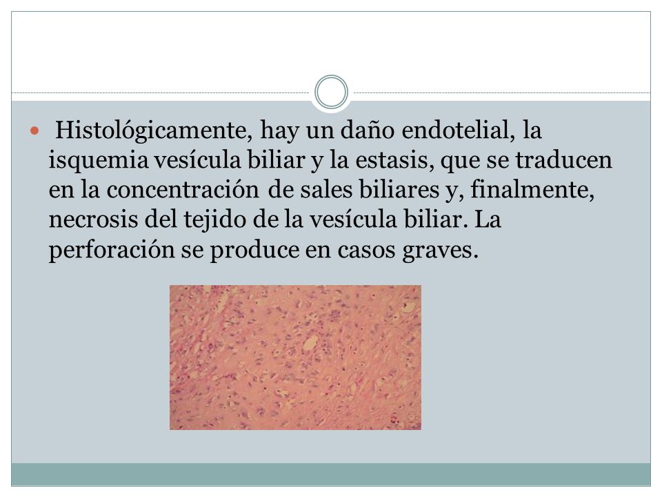 Histológicamente, hay un daño endotelial, la isquemia vesícula biliar y la estasis, que se traducen en la concentración de sales biliares y, finalmente, necrosis del tejido de la vesícula biliar.