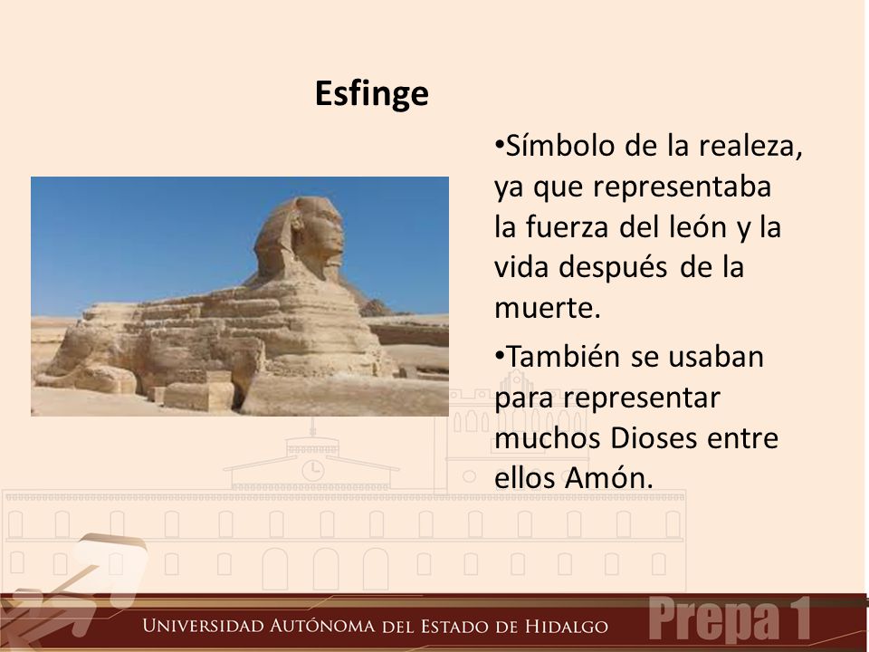 Esfinge Símbolo de la realeza, ya que representaba la fuerza del león y la vida después de la muerte.