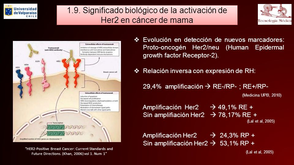1.9. Significado biológico de la activación de Her2 en cáncer de mama