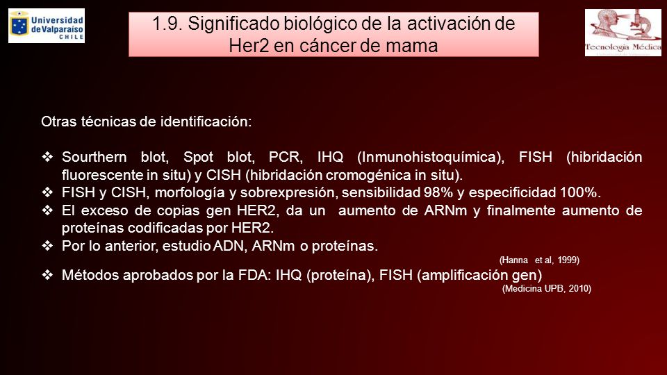 1.9. Significado biológico de la activación de Her2 en cáncer de mama