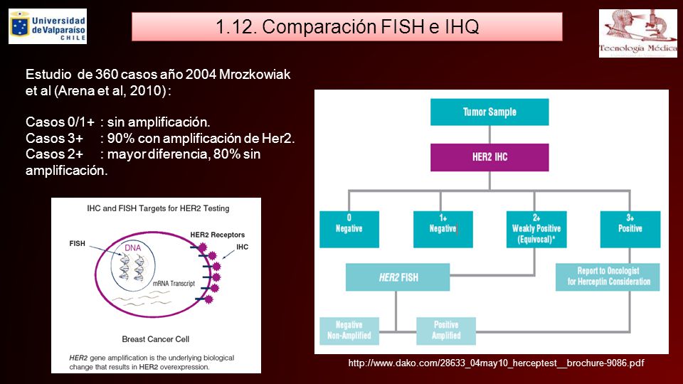 1.12. Comparación FISH e IHQ Estudio de 360 casos año 2004 Mrozkowiak et al (Arena et al, 2010) : Casos 0/1+ : sin amplificación.