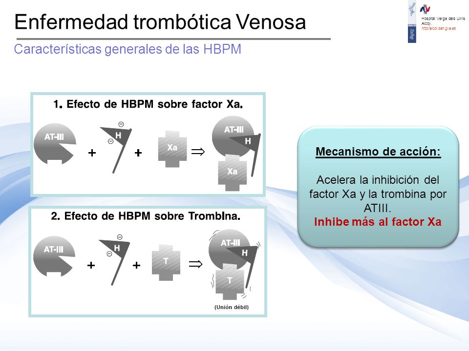 Acelera la inhibición del factor Xa y la trombina por ATIII.