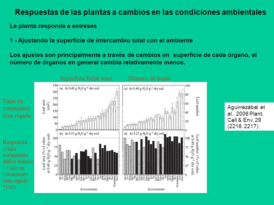 Respuestas de las plantas a cambios en las condiciones ambientales
