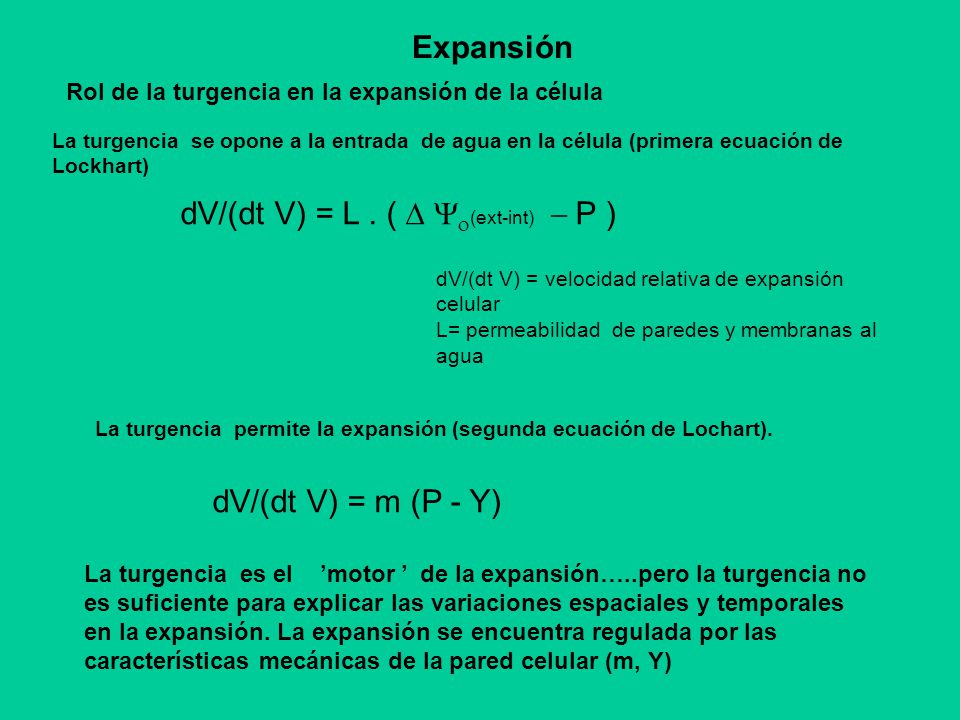 dV/(dt V) = L . ( D Yo(ext-int) - P )