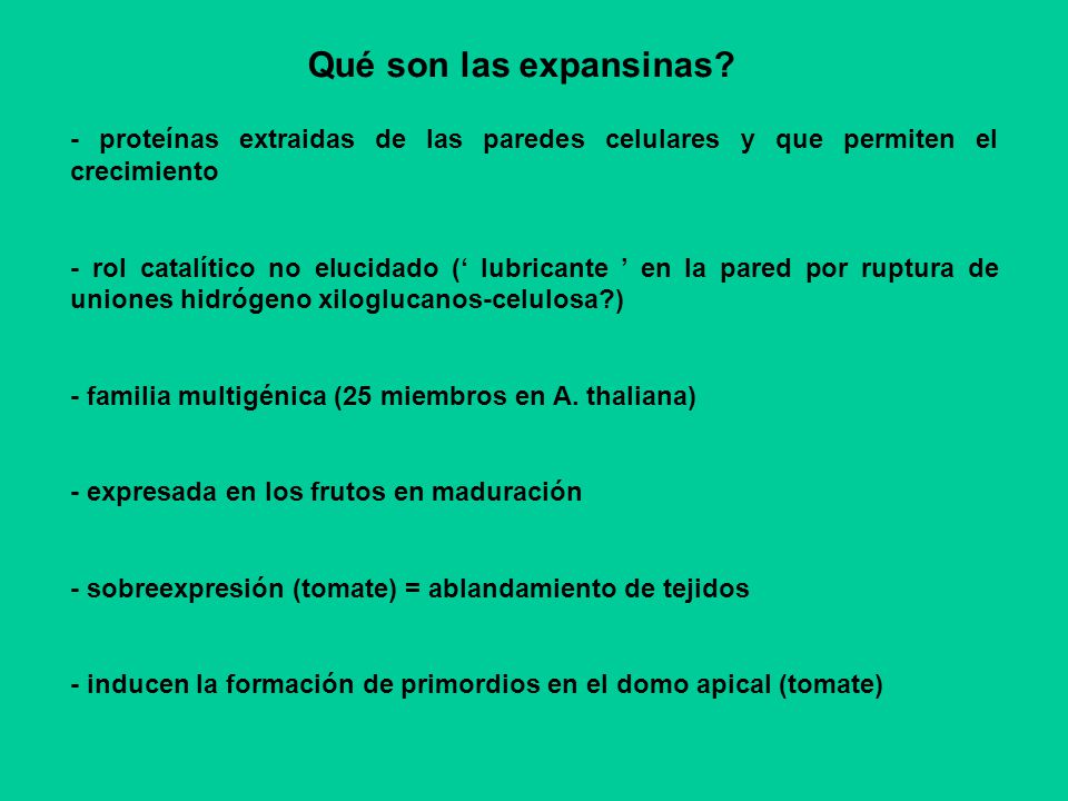 Qué son las expansinas - proteínas extraidas de las paredes celulares y que permiten el crecimiento.