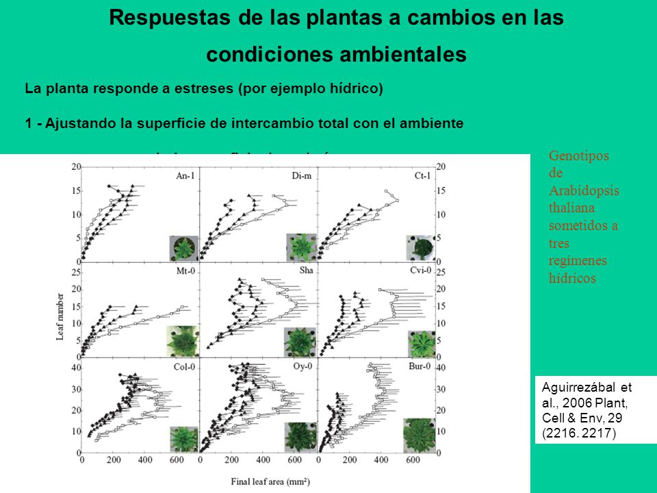 Respuestas de las plantas a cambios en las condiciones ambientales