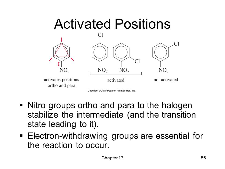 Activated Positions Nitro groups ortho and para to the halogen stabilize the intermediate (and the transition state leading to it).