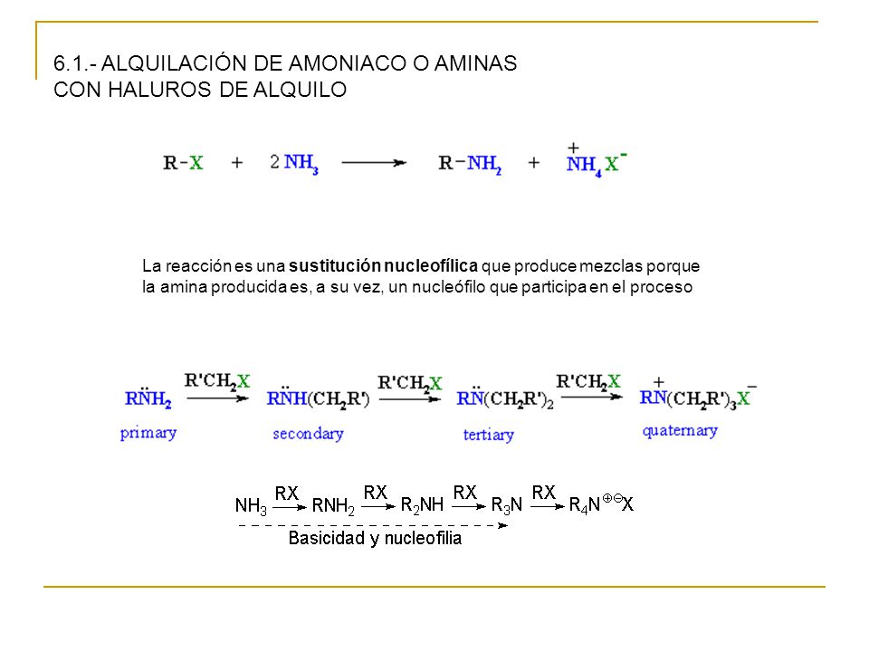 6.1.- ALQUILACIÓN DE AMONIACO O AMINAS CON HALUROS DE ALQUILO