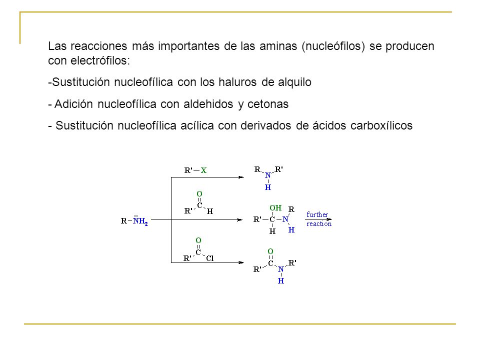 Las reacciones más importantes de las aminas (nucleófilos) se producen con electrófilos: