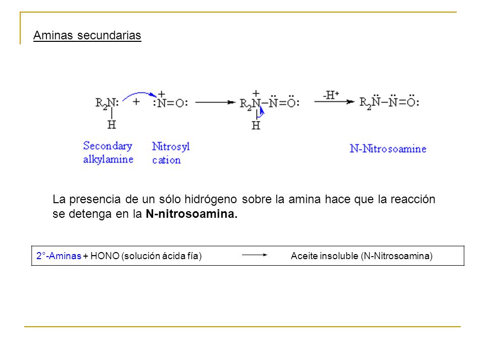 Aminas secundarias La presencia de un sólo hidrógeno sobre la amina hace que la reacción se detenga en la N-nitrosoamina.