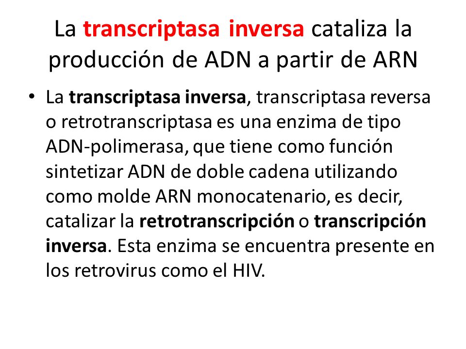 La transcriptasa inversa cataliza la producción de ADN a partir de ARN