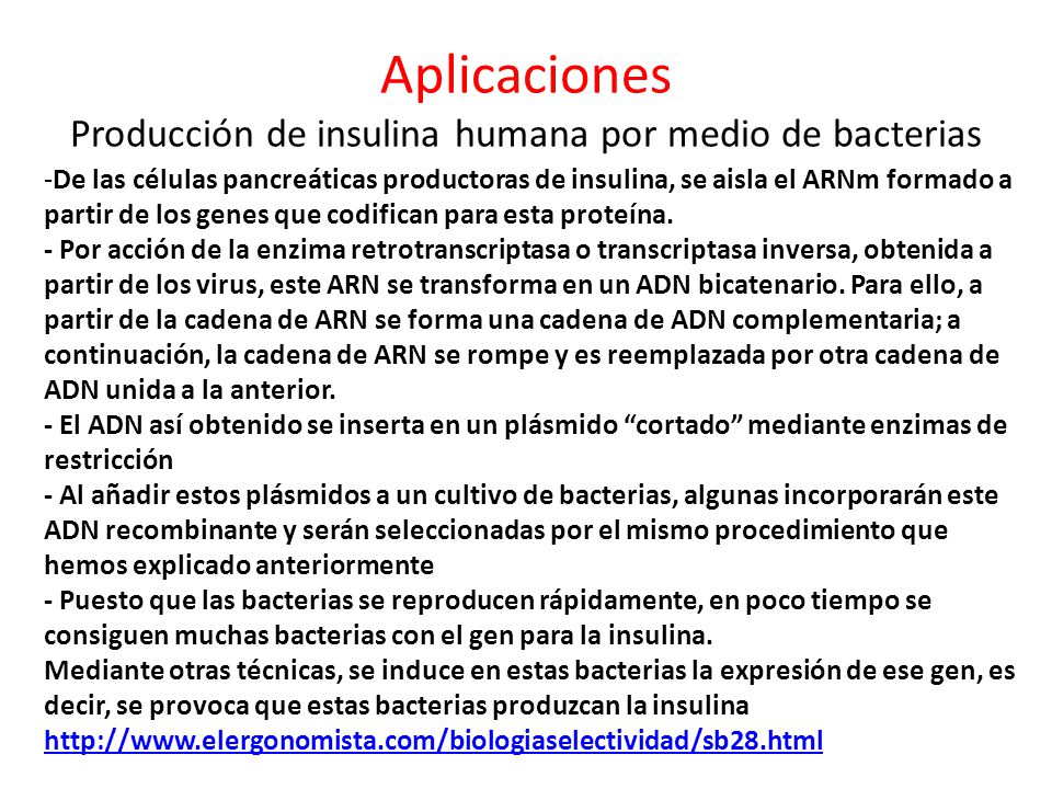 Aplicaciones Producción de insulina humana por medio de bacterias