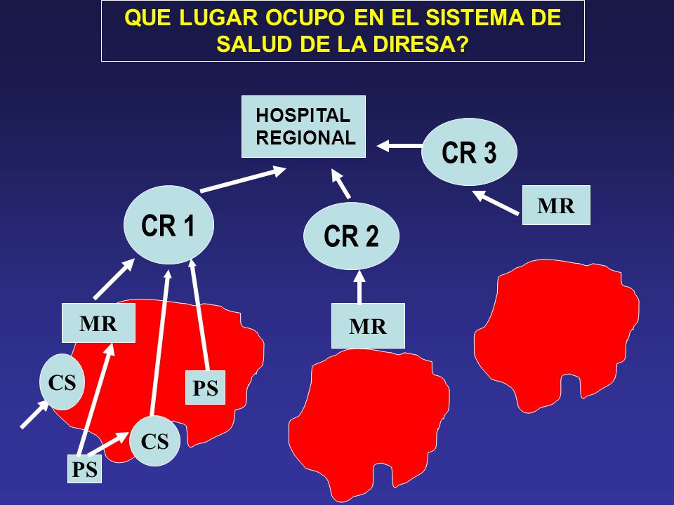 QUE LUGAR OCUPO EN EL SISTEMA DE SALUD DE LA DIRESA