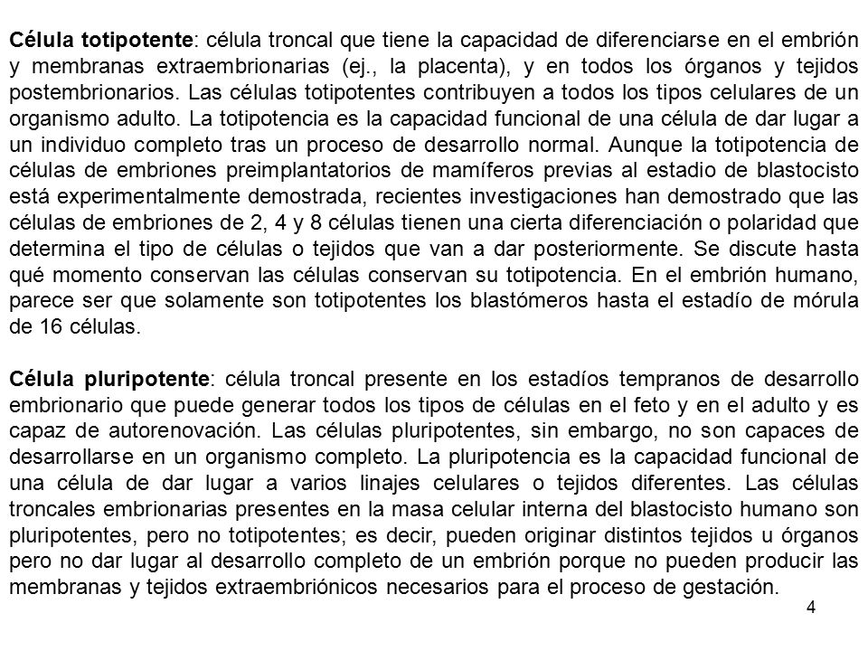 Célula totipotente: célula troncal que tiene la capacidad de diferenciarse en el embrión y membranas extraembrionarias (ej., la placenta), y en todos los órganos y tejidos postembrionarios. Las células totipotentes contribuyen a todos los tipos celulares de un organismo adulto. La totipotencia es la capacidad funcional de una célula de dar lugar a un individuo completo tras un proceso de desarrollo normal. Aunque la totipotencia de células de embriones preimplantatorios de mamíferos previas al estadio de blastocisto está experimentalmente demostrada, recientes investigaciones han demostrado que las células de embriones de 2, 4 y 8 células tienen una cierta diferenciación o polaridad que determina el tipo de células o tejidos que van a dar posteriormente. Se discute hasta qué momento conservan las células conservan su totipotencia. En el embrión humano, parece ser que solamente son totipotentes los blastómeros hasta el estadío de mórula de 16 células.