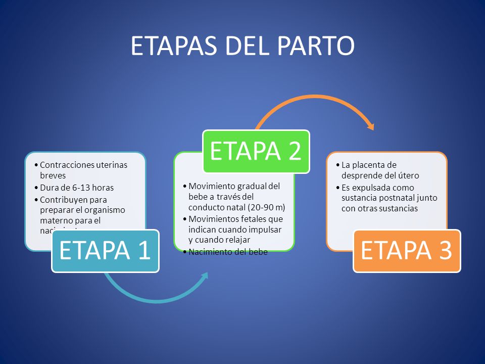 ETAPAS DEL PARTO ETAPA 1 ETAPA 2 ETAPA 3 Contracciones uterinas breves