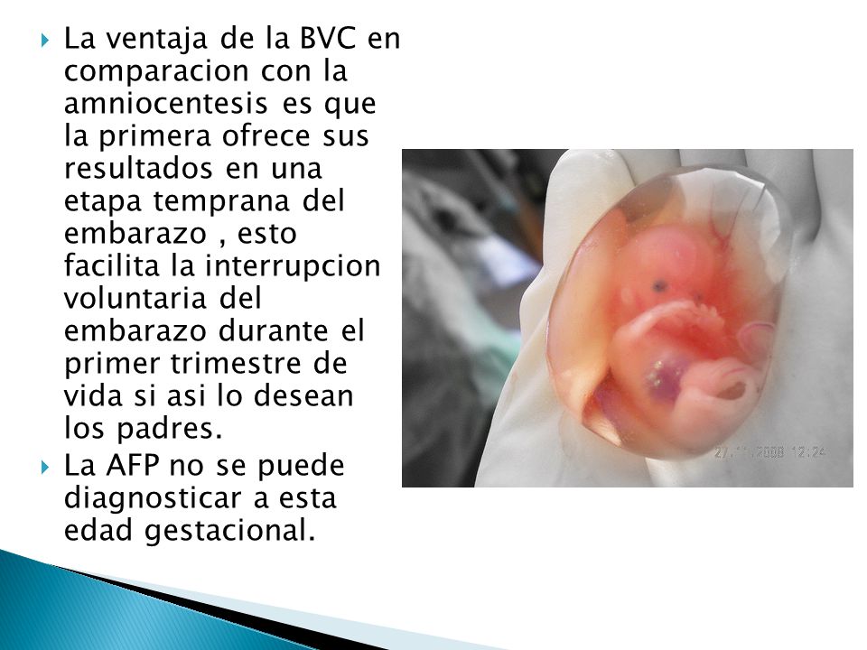 La ventaja de la BVC en comparacion con la amniocentesis es que la primera ofrece sus resultados en una etapa temprana del embarazo , esto facilita la interrupcion voluntaria del embarazo durante el primer trimestre de vida si asi lo desean los padres.