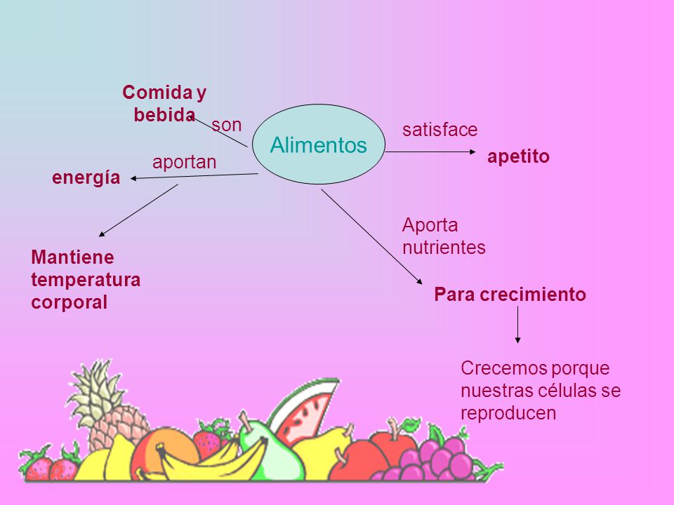 Alimentos Comida y bebida son satisface apetito aportan energía