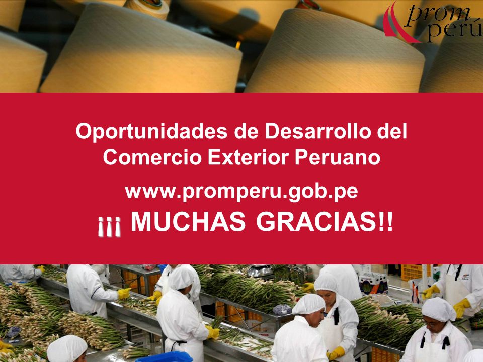 Oportunidades de Desarrollo del Comercio Exterior Peruano   ¡¡¡ MUCHAS GRACIAS!!