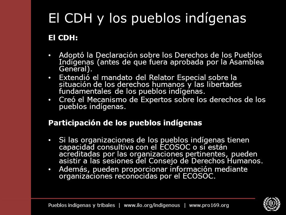 El CDH y los pueblos indígenas