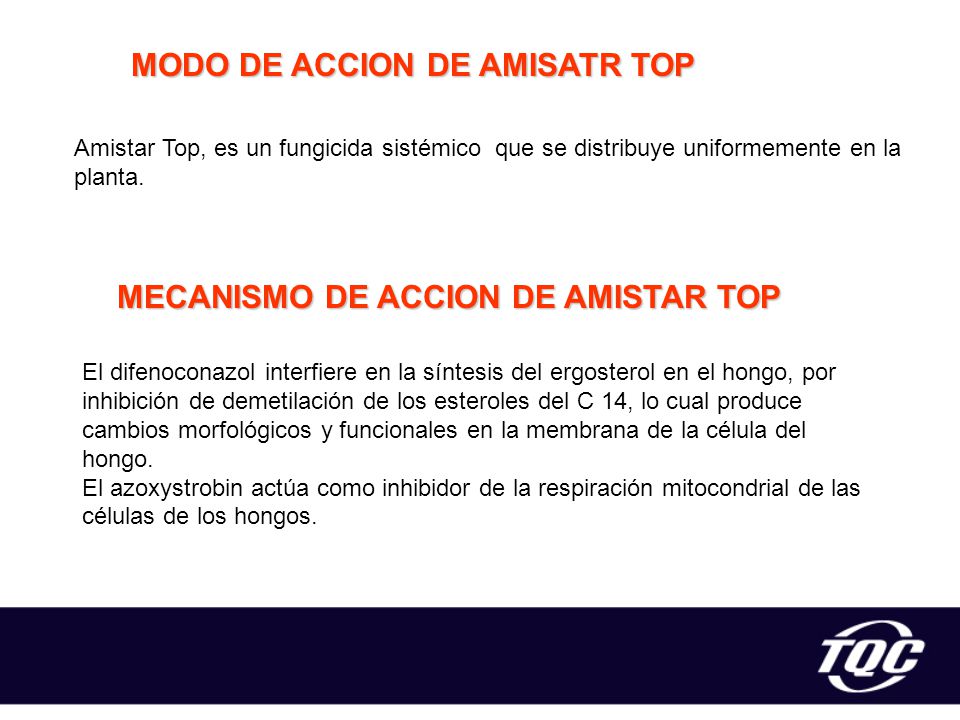 MODO DE ACCION DE AMISATR TOP MECANISMO DE ACCION DE AMISTAR TOP