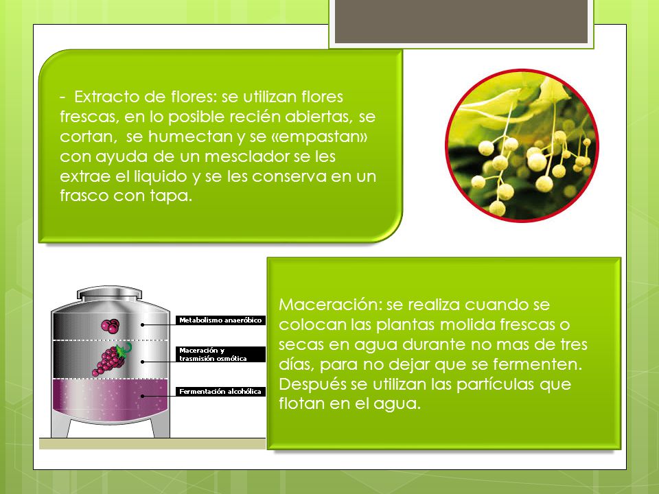 - Extracto de flores: se utilizan flores frescas, en lo posible recién abiertas, se cortan, se humectan y se «empastan» con ayuda de un mesclador se les extrae el liquido y se les conserva en un frasco con tapa.