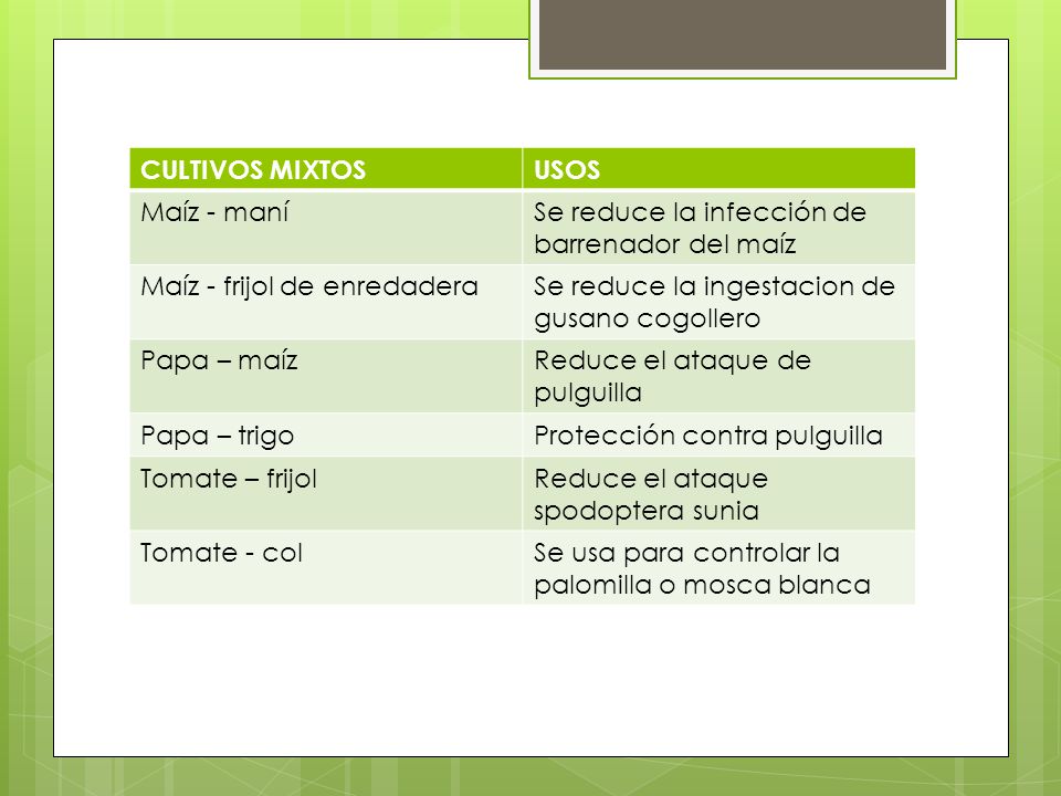 CULTIVOS MIXTOS USOS. Maíz - maní. Se reduce la infección de barrenador del maíz. Maíz - frijol de enredadera.
