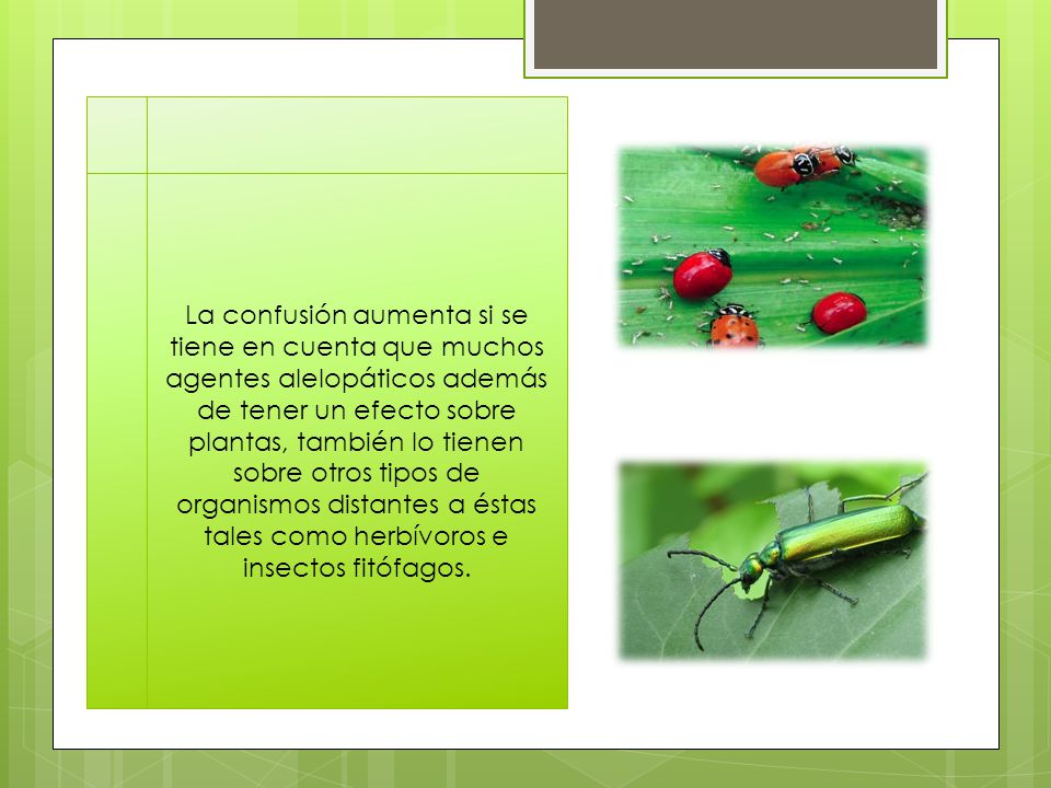 La confusión aumenta si se tiene en cuenta que muchos agentes alelopáticos además de tener un efecto sobre plantas, también lo tienen sobre otros tipos de organismos distantes a éstas tales como herbívoros e insectos fitófagos.
