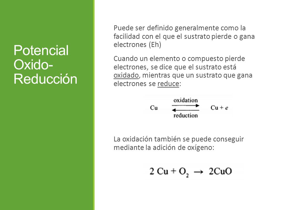 Potencial Oxido- Reducción