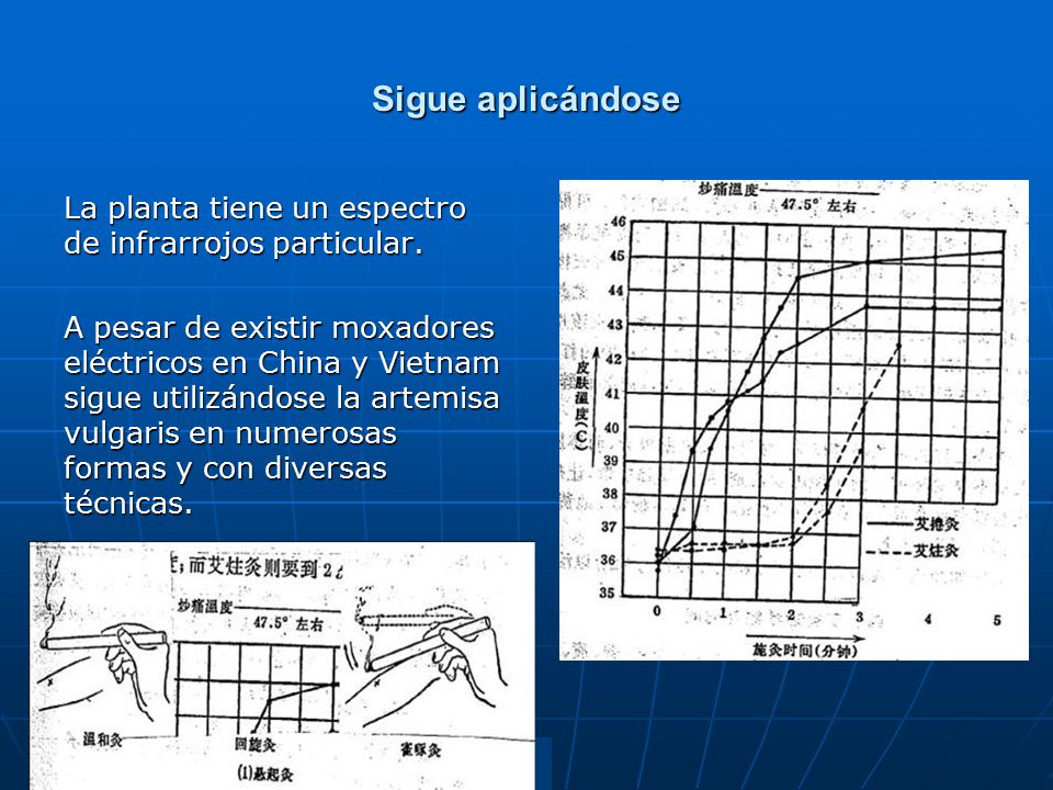 Sigue aplicándose La planta tiene un espectro de infrarrojos particular.