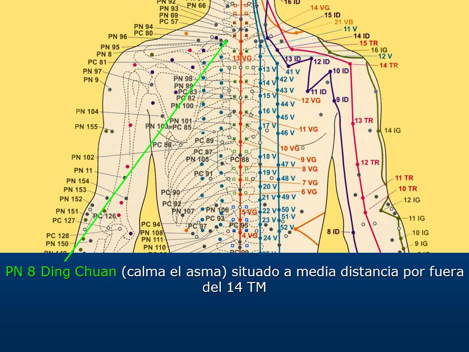 PN 8 Ding Chuan (calma el asma) situado a media distancia por fuera del 14 TM