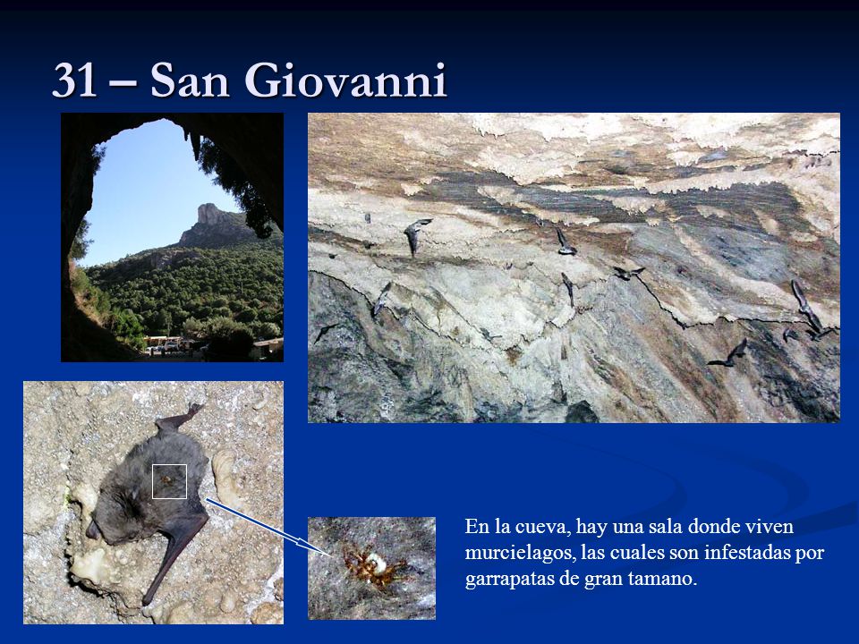 31 – San Giovanni En la cueva, hay una sala donde viven murcielagos, las cuales son infestadas por garrapatas de gran tamano.