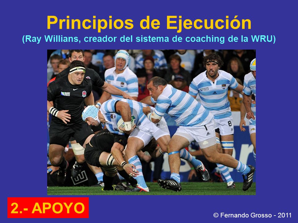 Principios de Ejecución (Ray Willians, creador del sistema de coaching de la WRU)