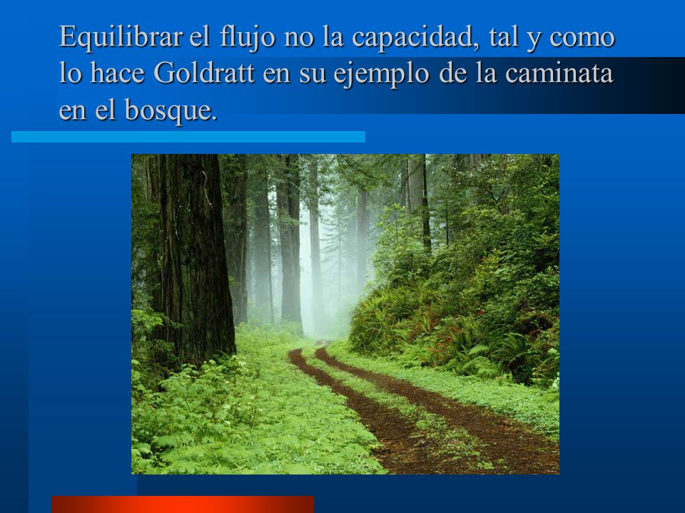 Equilibrar el flujo no la capacidad, tal y como lo hace Goldratt en su ejemplo de la caminata en el bosque.