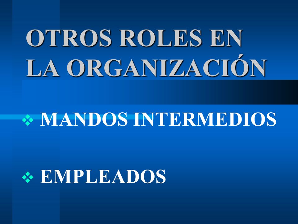 OTROS ROLES EN LA ORGANIZACIÓN