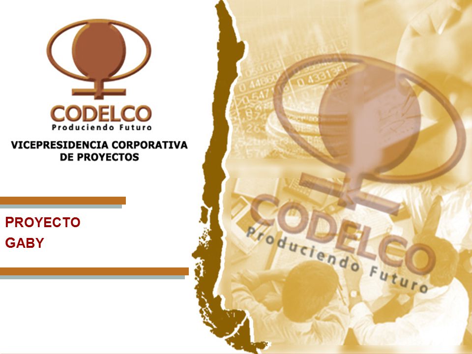 PROYECTO GABY Vicepresidencia Corporativa de Proyectos