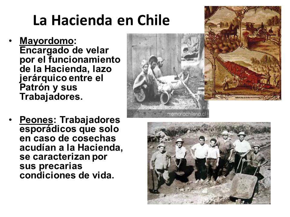 La Hacienda en Chile Mayordomo: Encargado de velar por el funcionamiento de la Hacienda, lazo jerárquico entre el Patrón y sus Trabajadores.