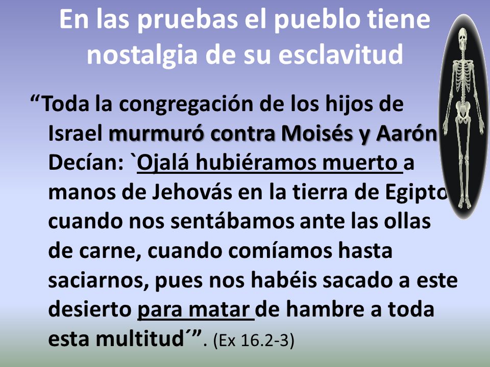 En las pruebas el pueblo tiene nostalgia de su esclavitud