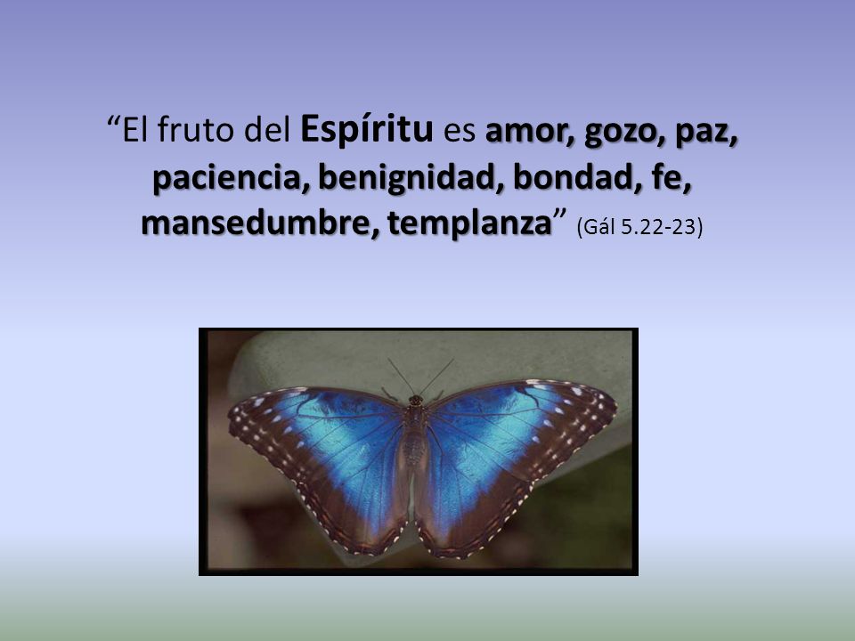 El fruto del Espíritu es amor, gozo, paz, paciencia, benignidad, bondad, fe, mansedumbre, templanza (Gál )